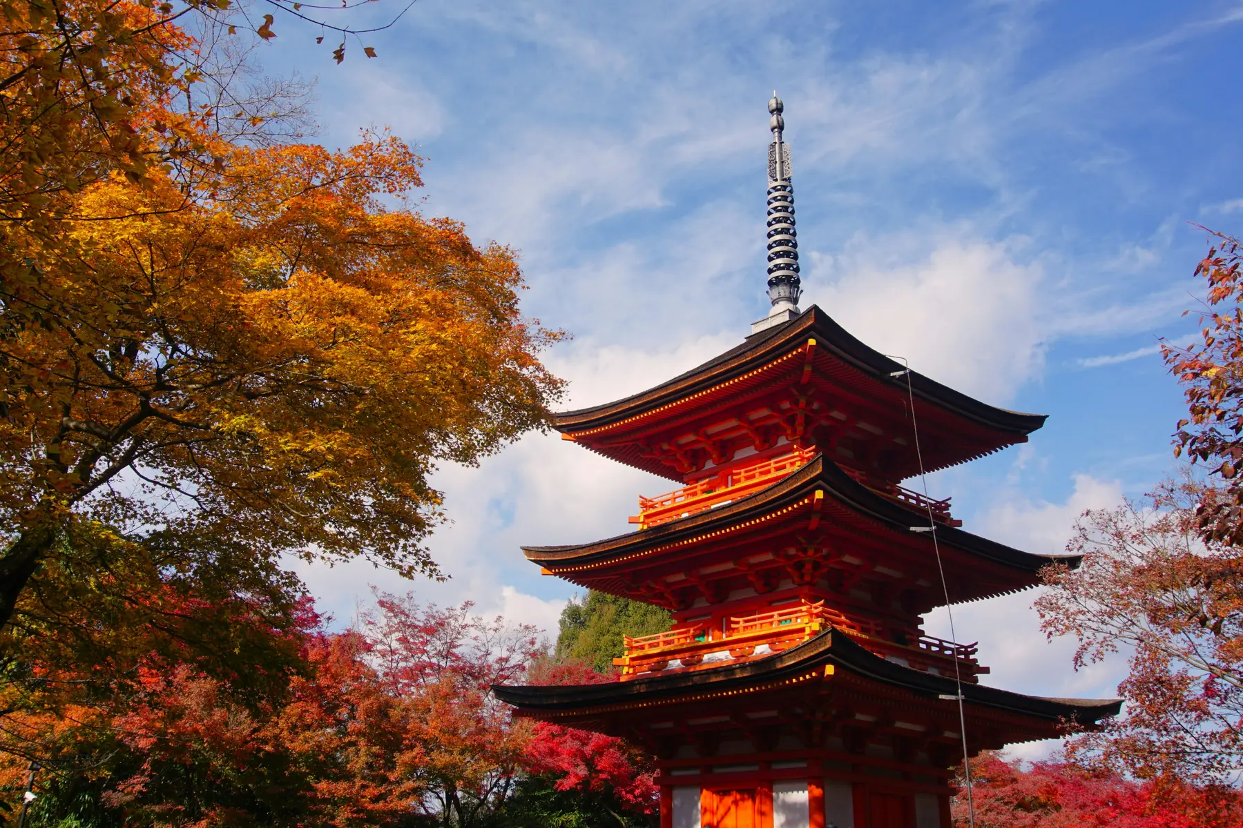 Autumn foliage framing a Kyoto temple, the slow Kansai trip in one image.